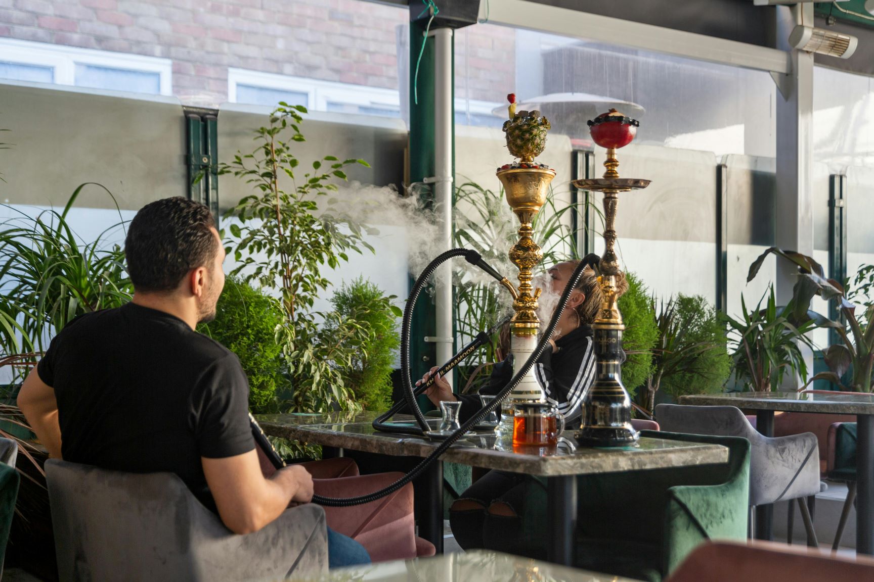 buy Hookah Tobacco online