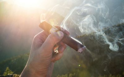 How to Pick the Right Cigar for Your Taste