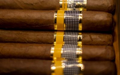 Why Cigar Lovers Choose Cohiba Cigars Above All Others