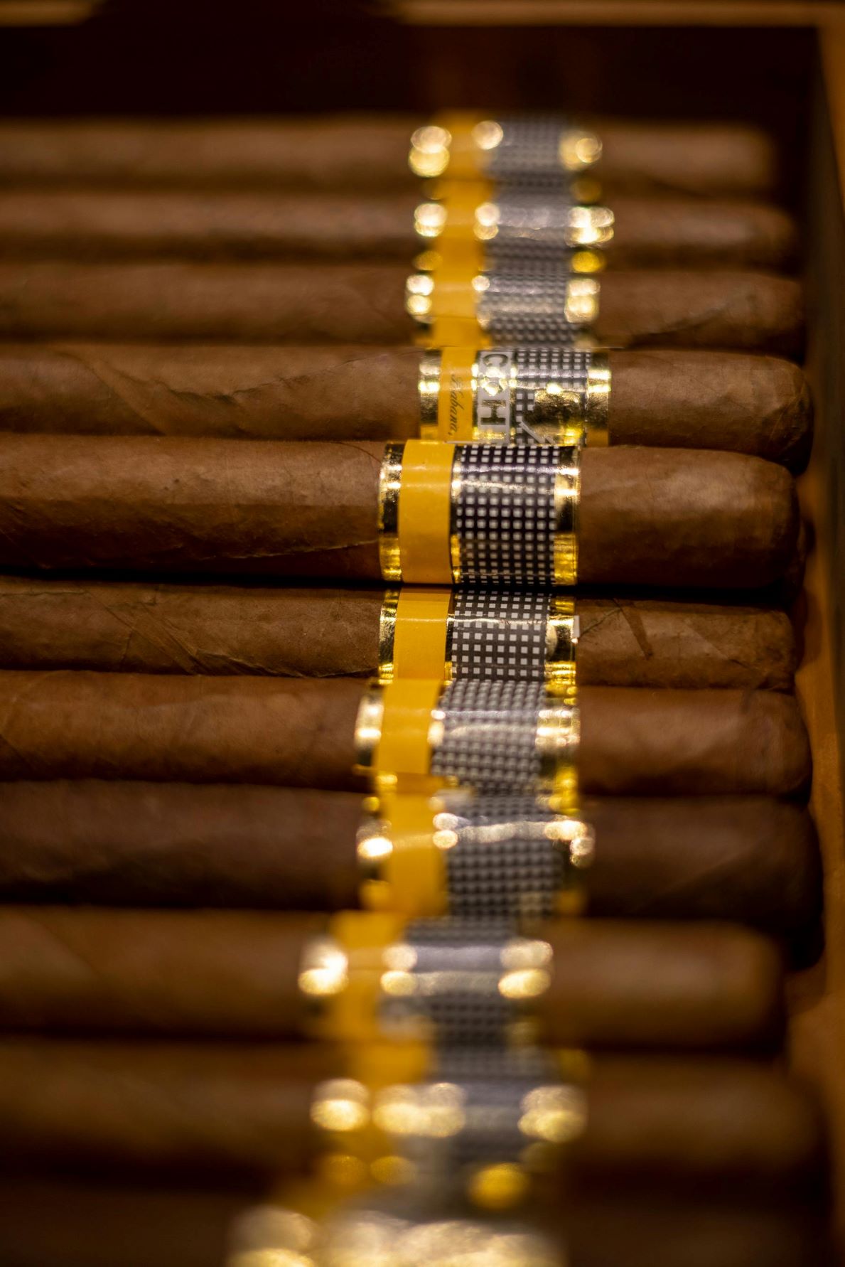 buy cohiba cigars